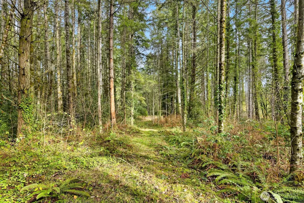 0 Sands Avenue NE Bainbridge Island, WA 98110