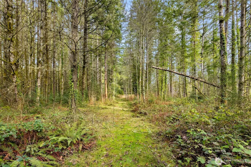 0 Sands Avenue NE Bainbridge Island, WA 98110