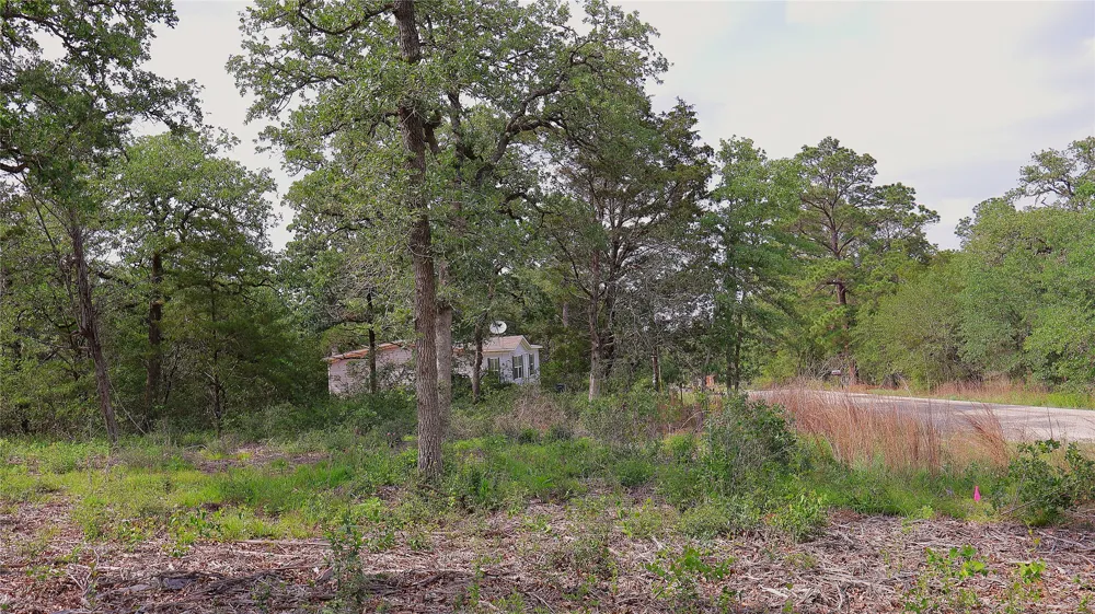 200 Cheyenne Drive Smithville, TX 78957