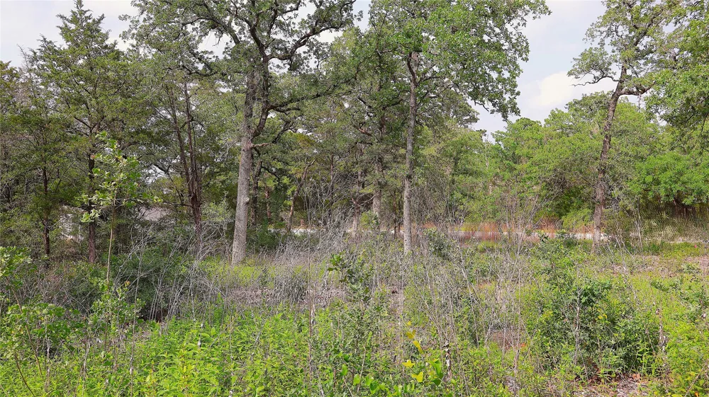 200 Cheyenne Drive Smithville, TX 78957