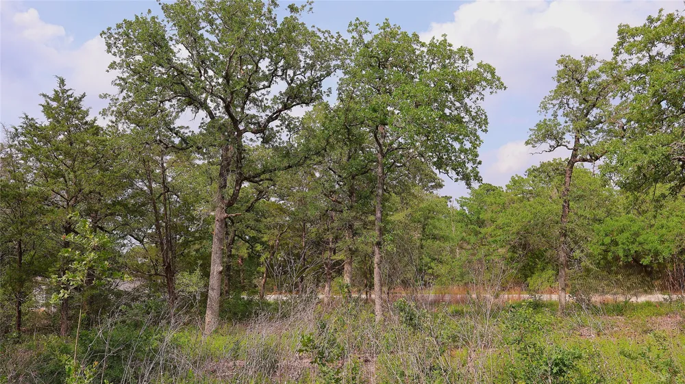 200 Cheyenne Drive Smithville, TX 78957