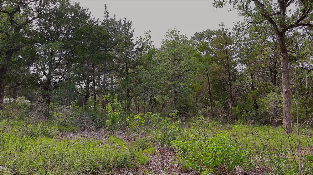 200 Cheyenne Drive Smithville, TX 78957
