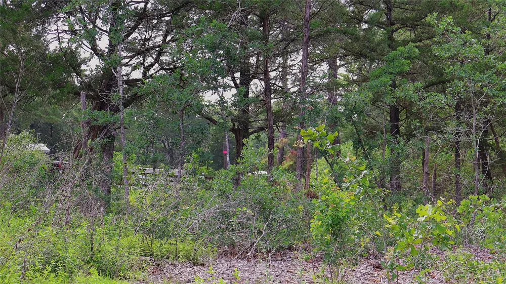 200 Cheyenne Drive Smithville, TX 78957