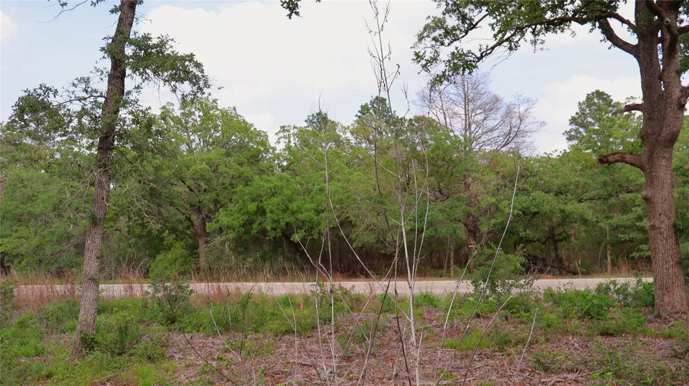 200 Cheyenne Drive Smithville, TX 78957