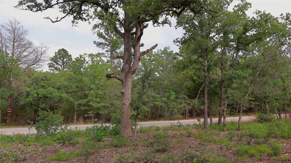 200 Cheyenne Drive Smithville, TX 78957