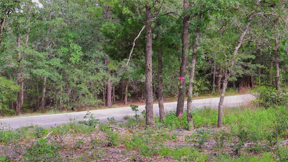 200 Cheyenne Drive Smithville, TX 78957