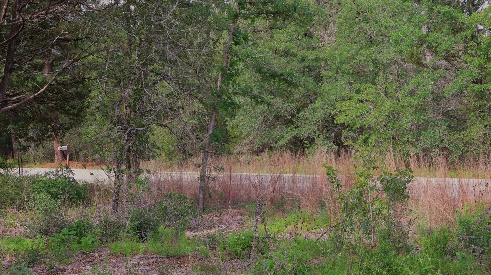 200 Cheyenne Drive Smithville, TX 78957