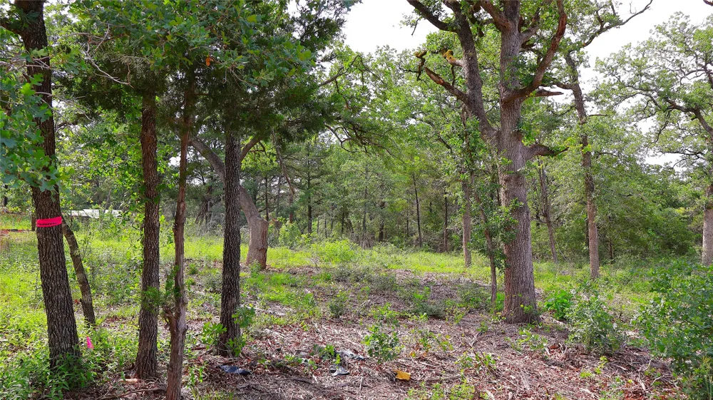 200 Cheyenne Drive Smithville, TX 78957