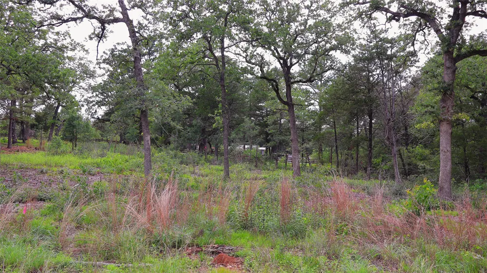 200 Cheyenne Drive Smithville, TX 78957
