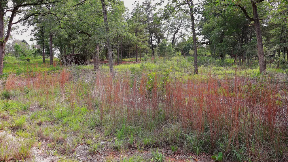 200 Cheyenne Drive Smithville, TX 78957