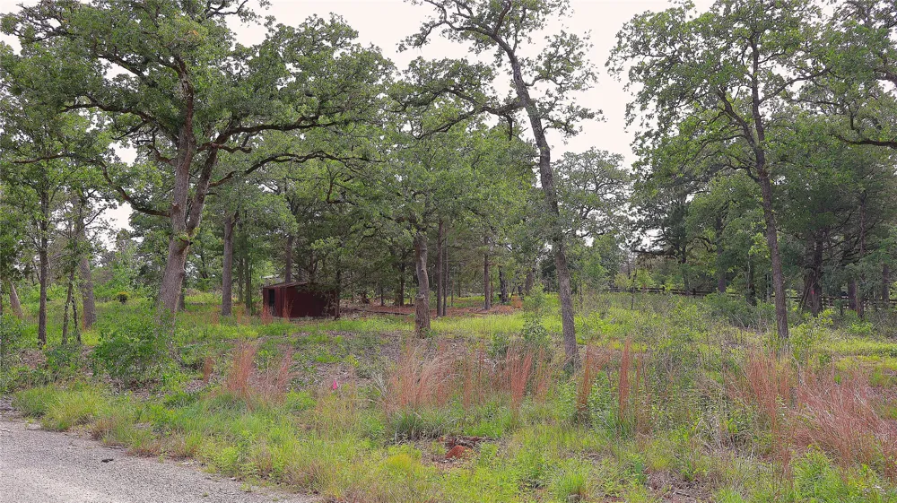 200 Cheyenne Drive Smithville, TX 78957