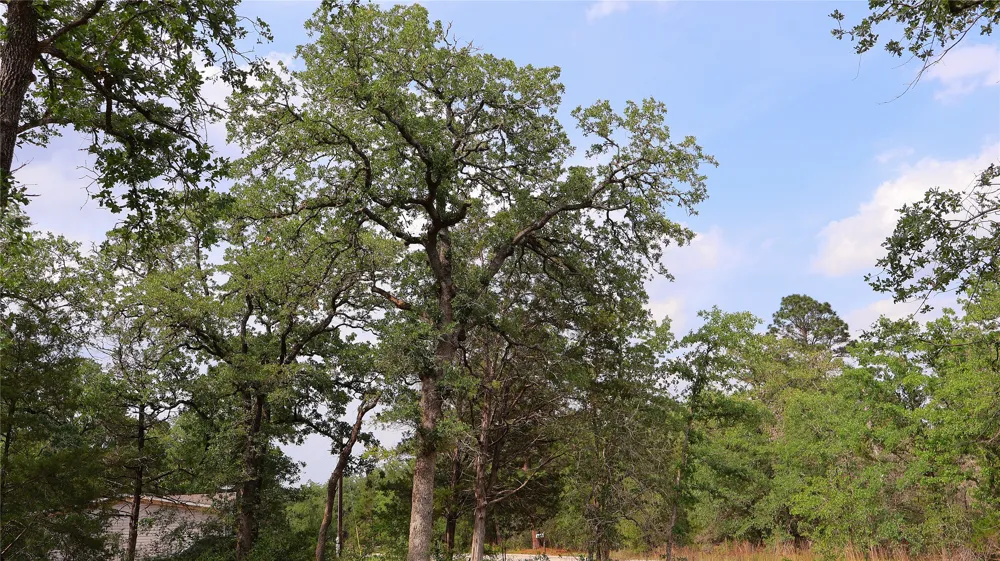 200 Cheyenne Drive Smithville, TX 78957