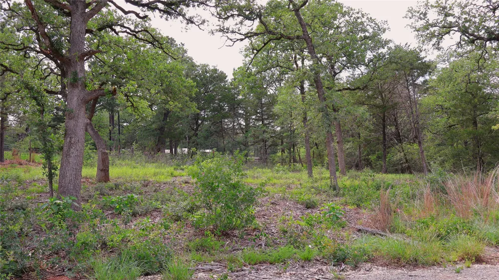 200 Cheyenne Drive Smithville, TX 78957