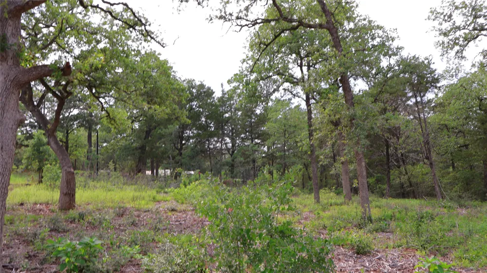 200 Cheyenne Drive Smithville, TX 78957