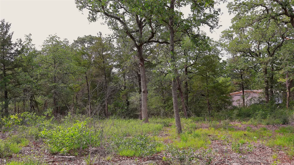 200 Cheyenne Drive Smithville, TX 78957