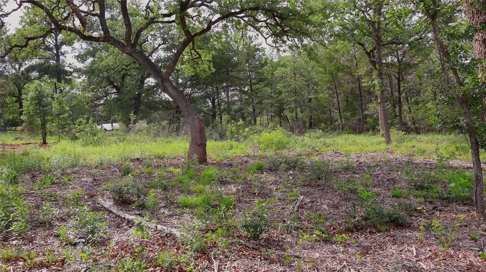 200 Cheyenne Drive Smithville, TX 78957
