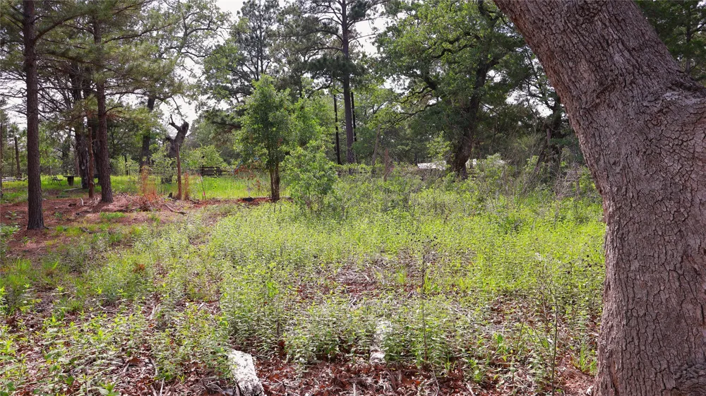 200 Cheyenne Drive Smithville, TX 78957