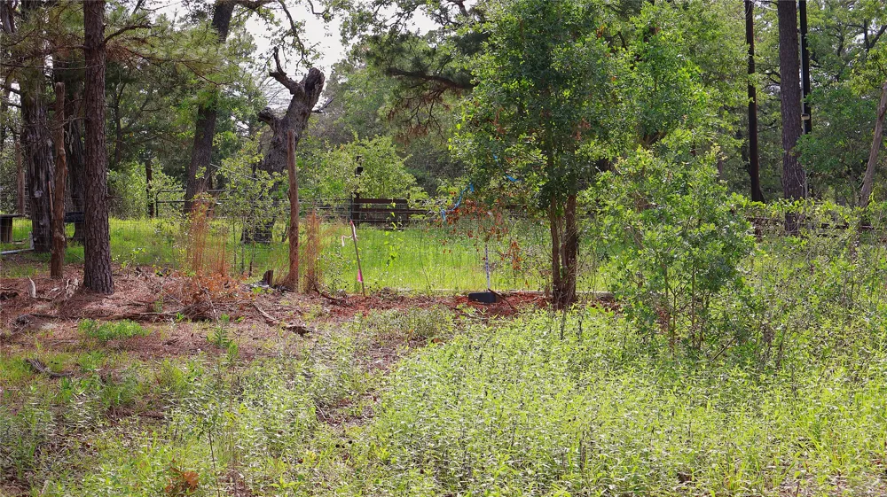 200 Cheyenne Drive Smithville, TX 78957