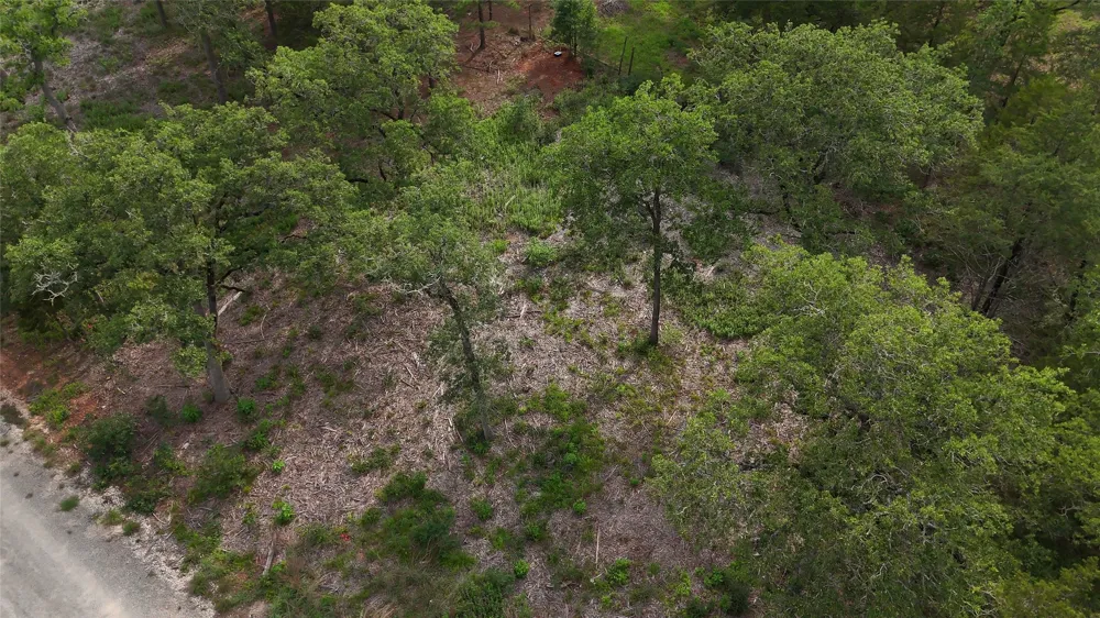 200 Cheyenne Drive Smithville, TX 78957