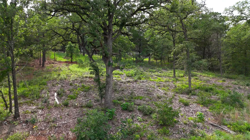 200 Cheyenne Drive Smithville, TX 78957