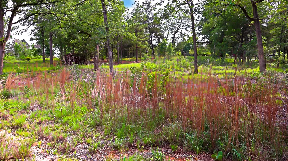 200 Cheyenne Drive Smithville, TX 78957