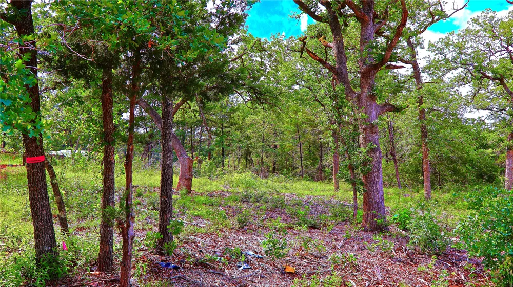 200 Cheyenne Drive Smithville, TX 78957