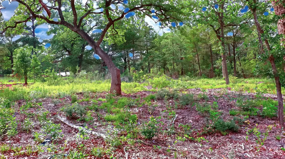 200 Cheyenne Drive Smithville, TX 78957