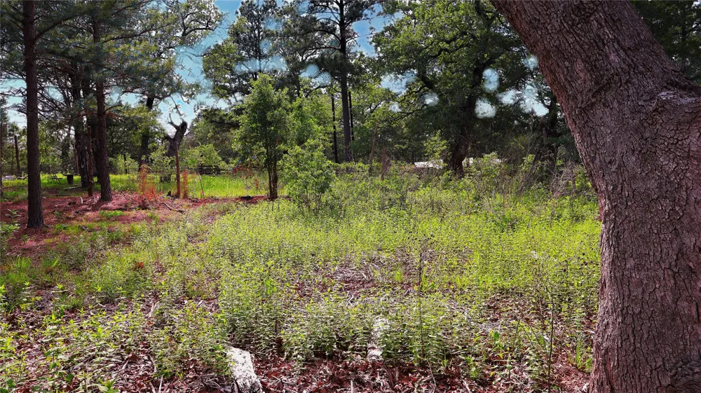 200 Cheyenne Drive Smithville, TX 78957