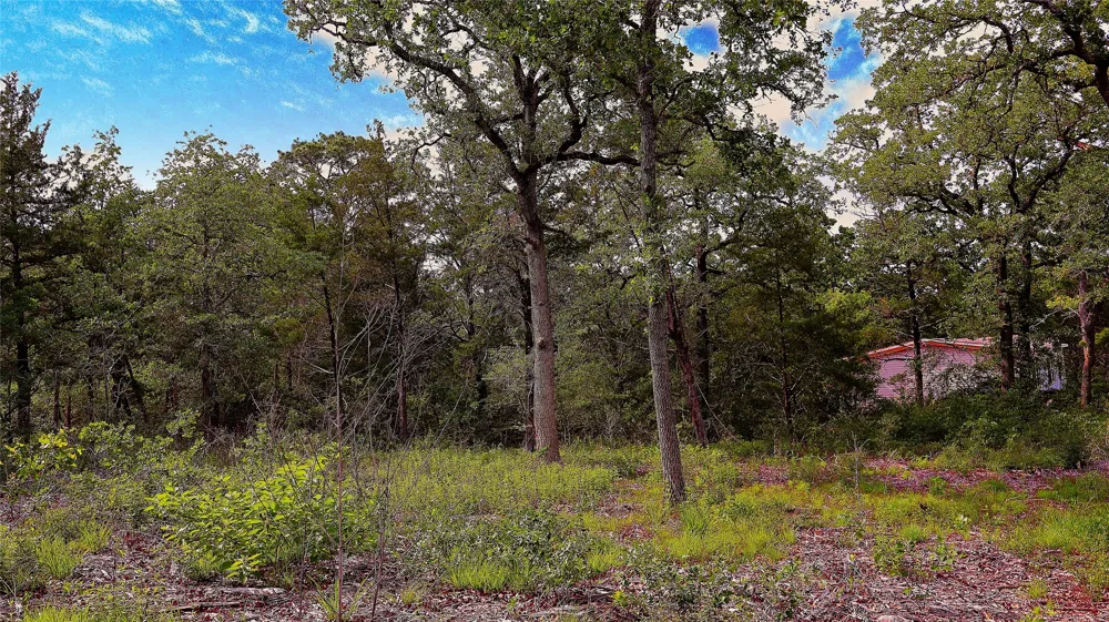 200 Cheyenne Drive Smithville, TX 78957