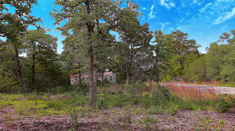 200 Cheyenne Drive Smithville, TX 78957