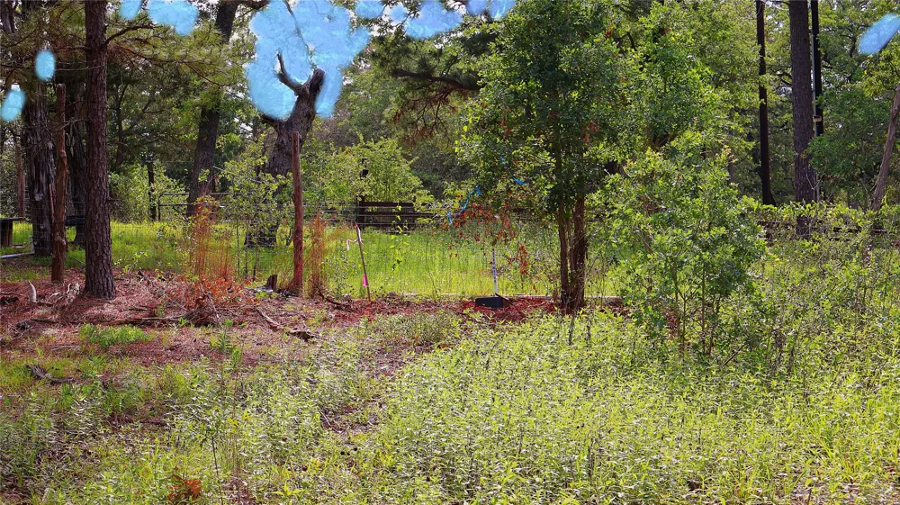 200 Cheyenne Drive Smithville, TX 78957