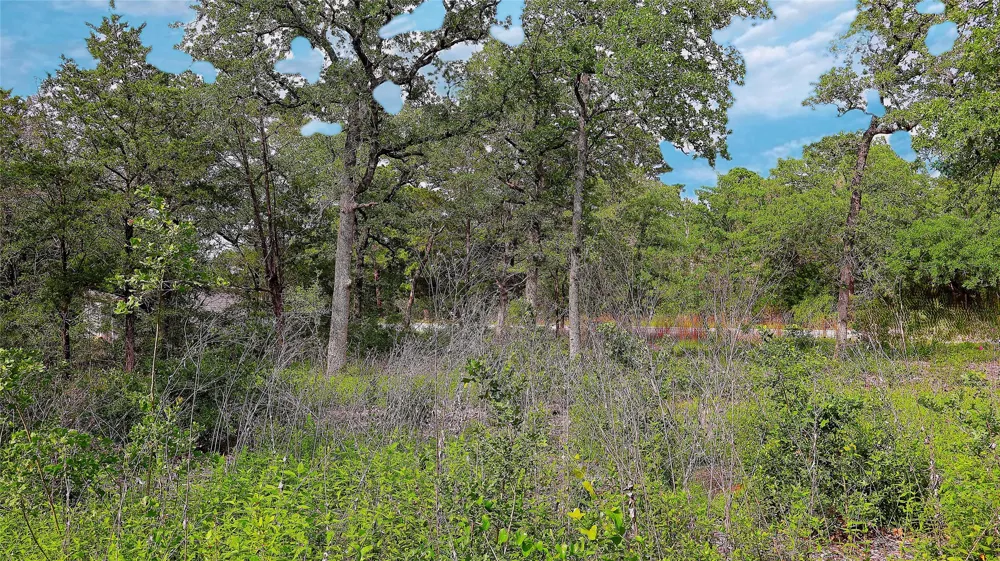 200 Cheyenne Drive Smithville, TX 78957