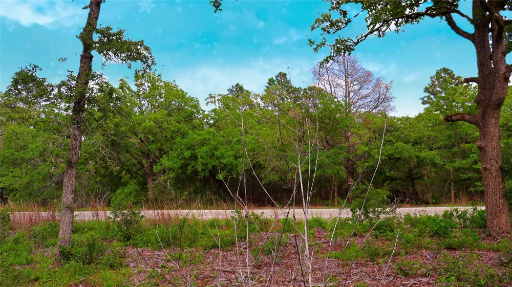 200 Cheyenne Drive Smithville, TX 78957