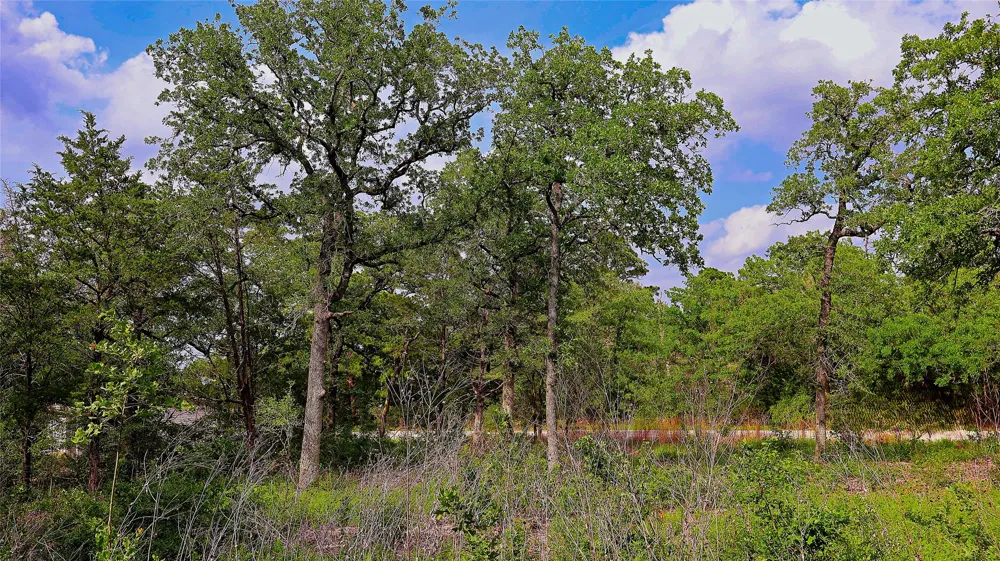 200 Cheyenne Drive Smithville, TX 78957