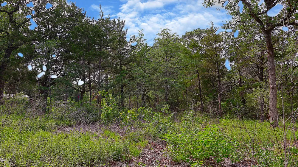 200 Cheyenne Drive Smithville, TX 78957