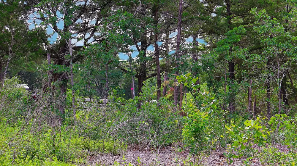 200 Cheyenne Drive Smithville, TX 78957