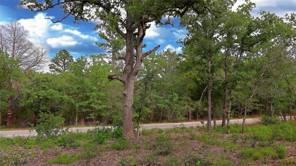 200 Cheyenne Drive Smithville, TX 78957