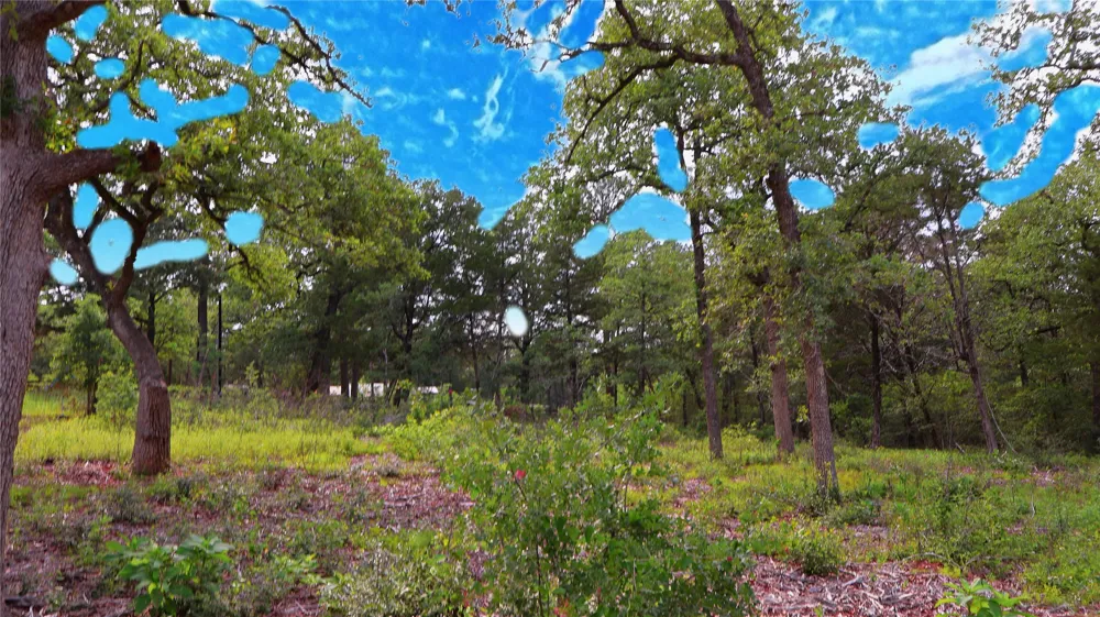 200 Cheyenne Drive Smithville, TX 78957