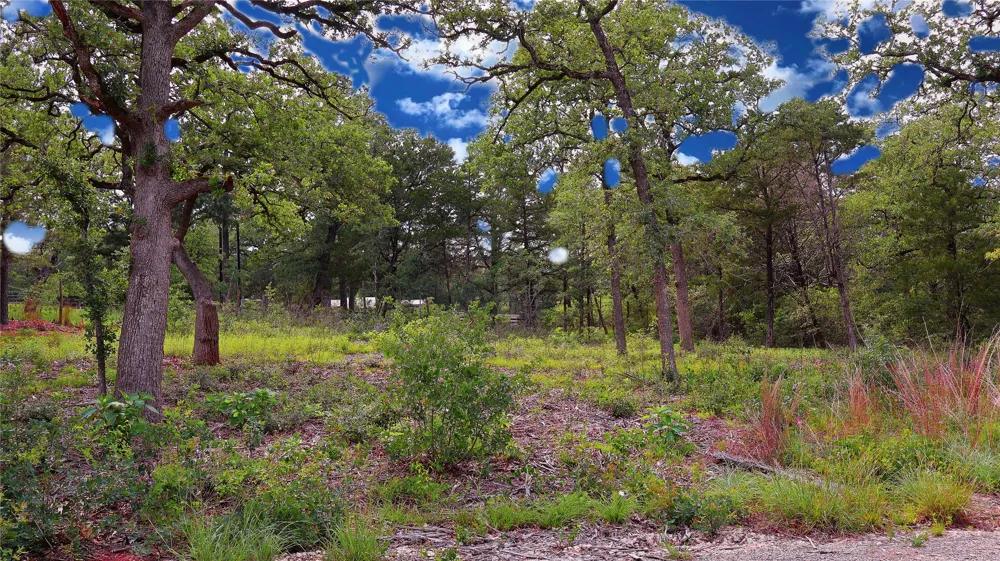 200 Cheyenne Drive Smithville, TX 78957