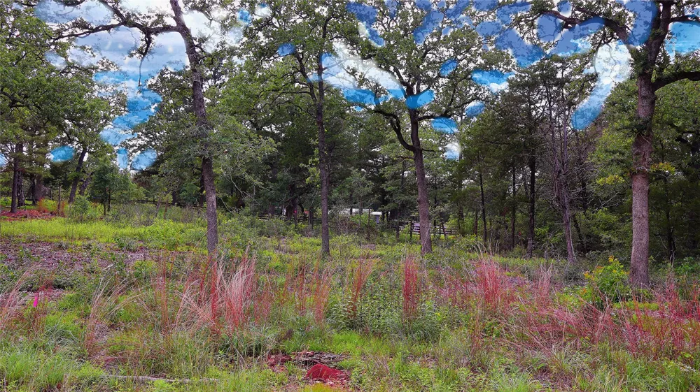 200 Cheyenne Drive Smithville, TX 78957