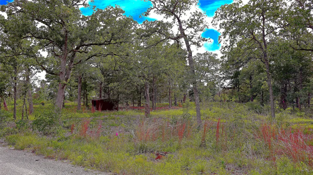 200 Cheyenne Drive Smithville, TX 78957