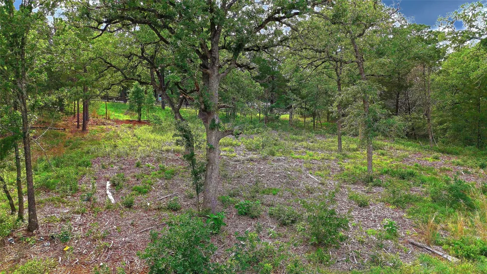 200 Cheyenne Drive Smithville, TX 78957