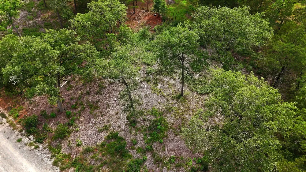200 Cheyenne Drive Smithville, TX 78957
