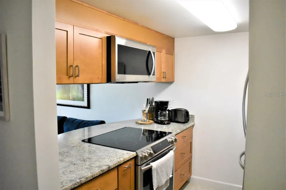 7420 BAY ISLAND DRIVE S #176 South Pasadena, FL 33707