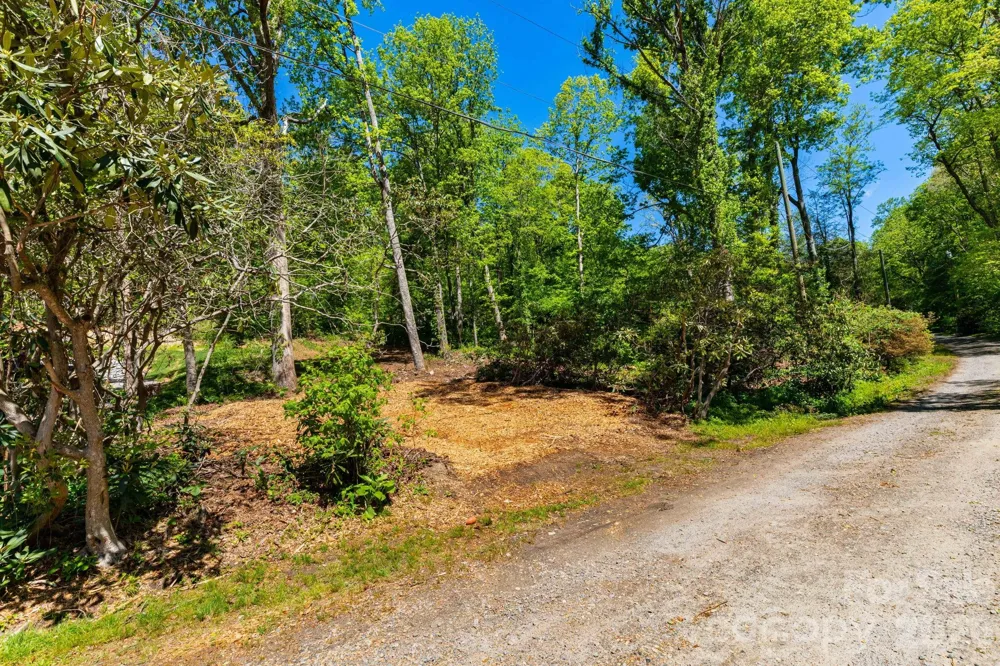 99999 Meeks Road Black Mountain, NC 28711