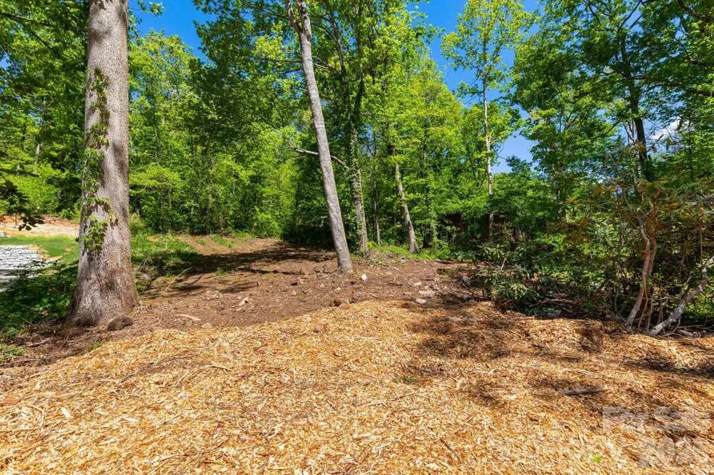 99999 Meeks Road Black Mountain, NC 28711