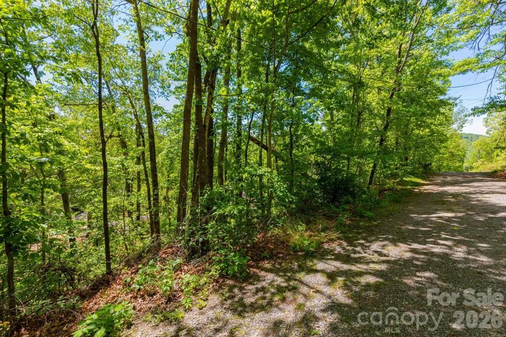 99999 Meeks Road Black Mountain, NC 28711