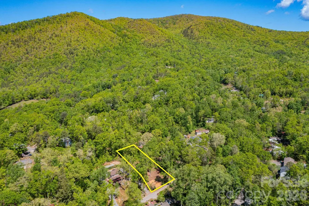 99999 Meeks Road Black Mountain, NC 28711