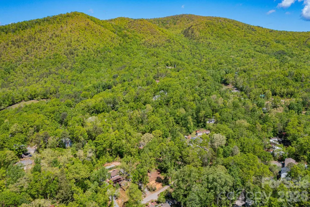 99999 Meeks Road Black Mountain, NC 28711