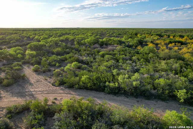 3472 Wilson Rd Carrizo Springs, TX 78834